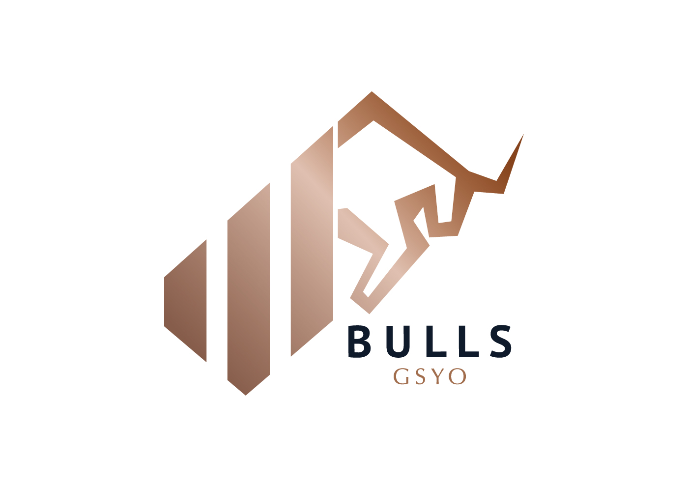 BULLS GİRİŞİM SERMAYESİ YATIRIM ORTAKLIĞI A.Ş.