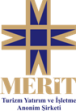 MERIT
