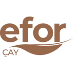 EFORC