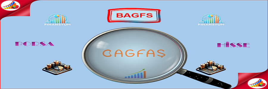 BAGFS