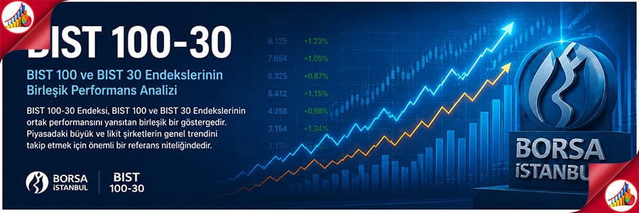 BIST 100-30