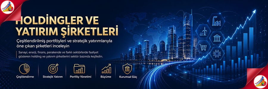 HOLDİNGLER VE YATIRIM ŞİRKETLERİ