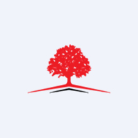 Alnus Yatırım Menkul Değerler A.Ş.