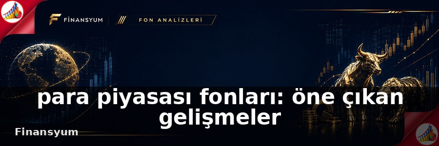 para piyasası fonları Finansyum