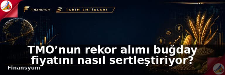 TMO’nun rekor alımı buğday fiyatını nasıl sertleştiriyor?