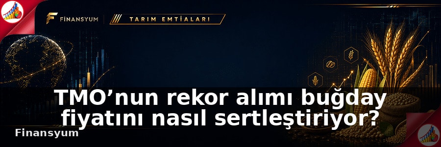 TMO’nun rekor alımı buğday fiyatını nasıl sertleştiriyor?